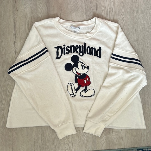Disney Sweaters Disneyland Cropped Sweater Poshmark